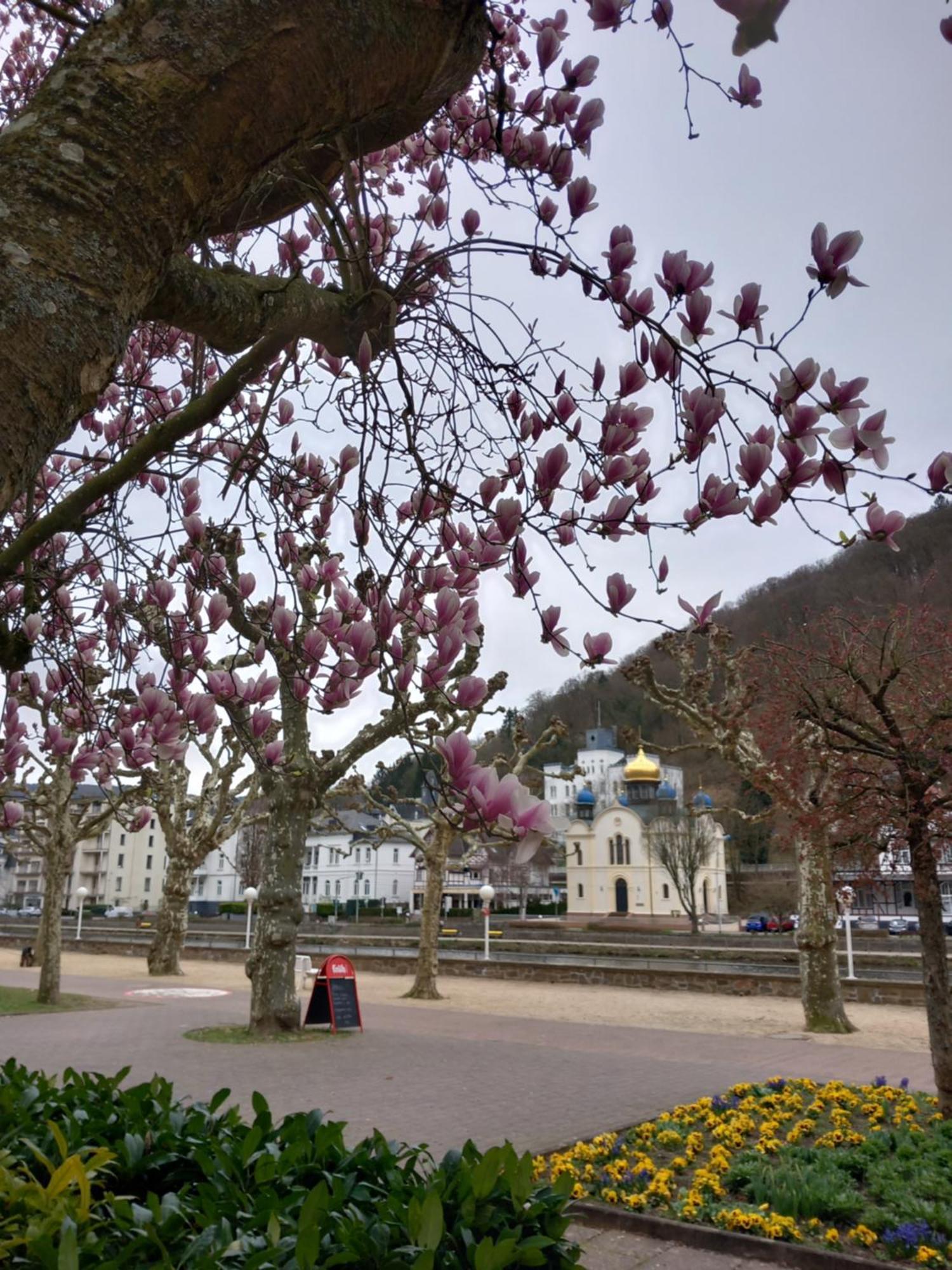Ferienwohnung im roten Haus Bad Ems Exterior foto